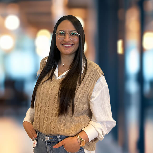 תמיכה טכנית